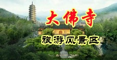 欧美黄色操大逼中国浙江-新昌大佛寺旅游风景区